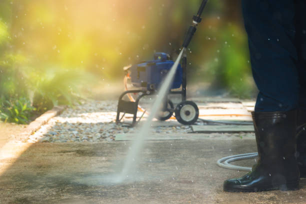 Best Driveway Cleaning and Restoration in New Johnsonville, TN